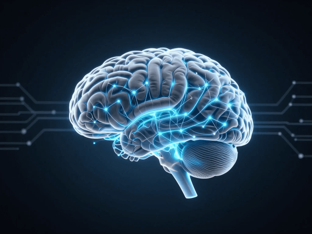 Neurociencia: qué nos enseña el cerebro humano sobre la inteligencia artificial