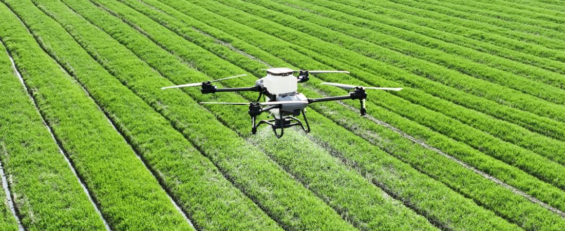 Agricultura: cómo la inteligencia artificial está revolucionando la producción de alimentos
