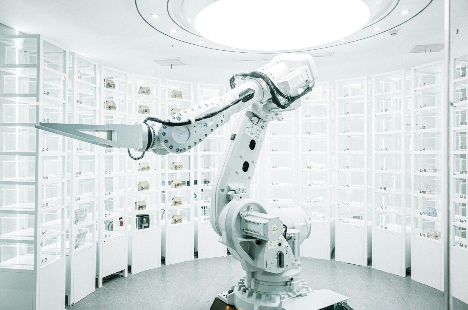 Robótica: cómo la inteligencia artificial está creando robots más inteligentes que nunca